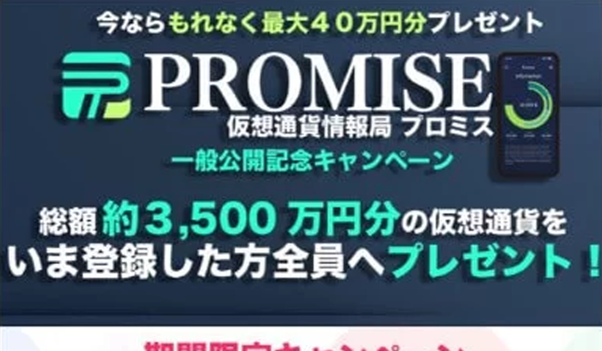 PROMISE（プロミス）は極めて悪質な副業と判明！絶対にお勧め出来ない理由と対策を全公開！